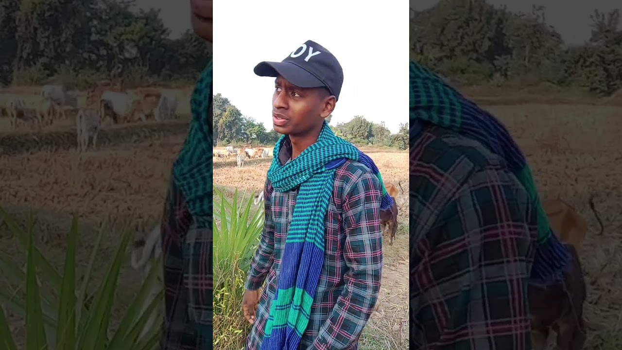 Kukmu Rani #shorts #viralshort #santalivairalvideo #gangadharbindhani #santalistatus #santali