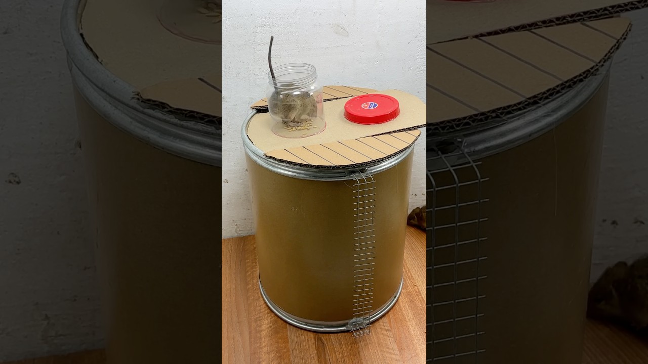 Dicas para capturar ratos em casa // ratoeira fácil 