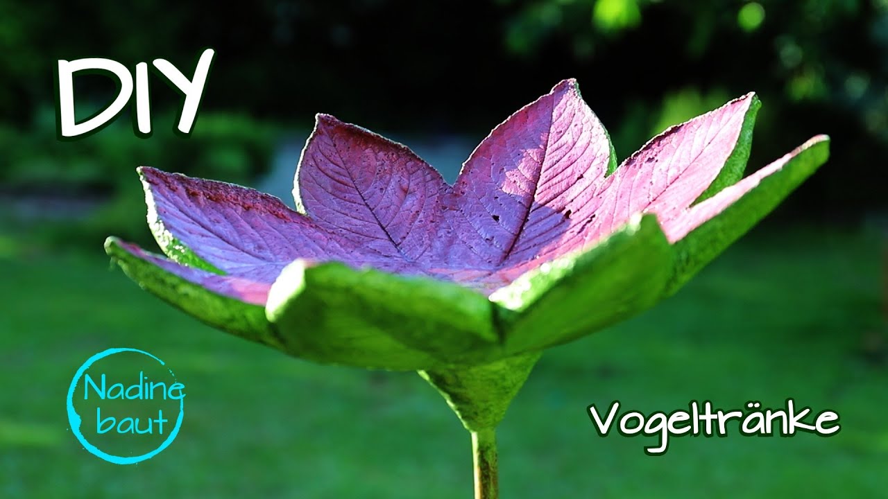 Vogeltränke selber machen aus Beton - Beton Ideen für Garten und Terrasse - Betonschale DIY