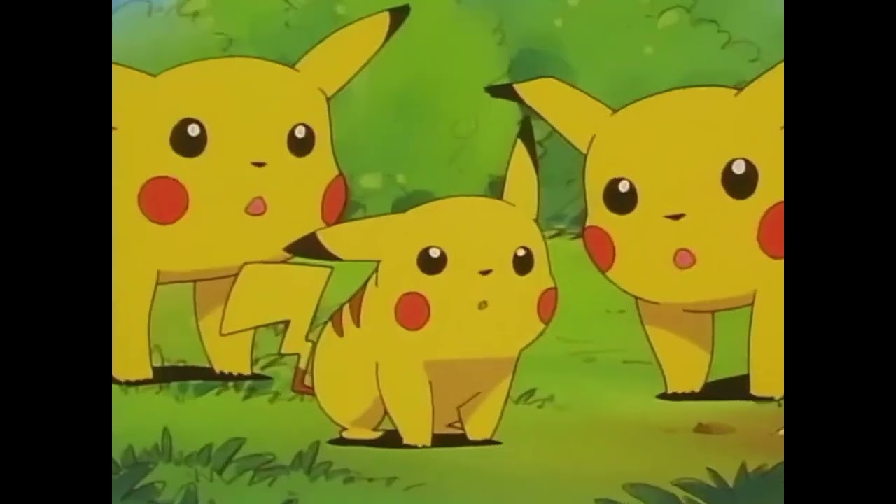 Bye bye Butterfree and Pikachu's goodbye AMV