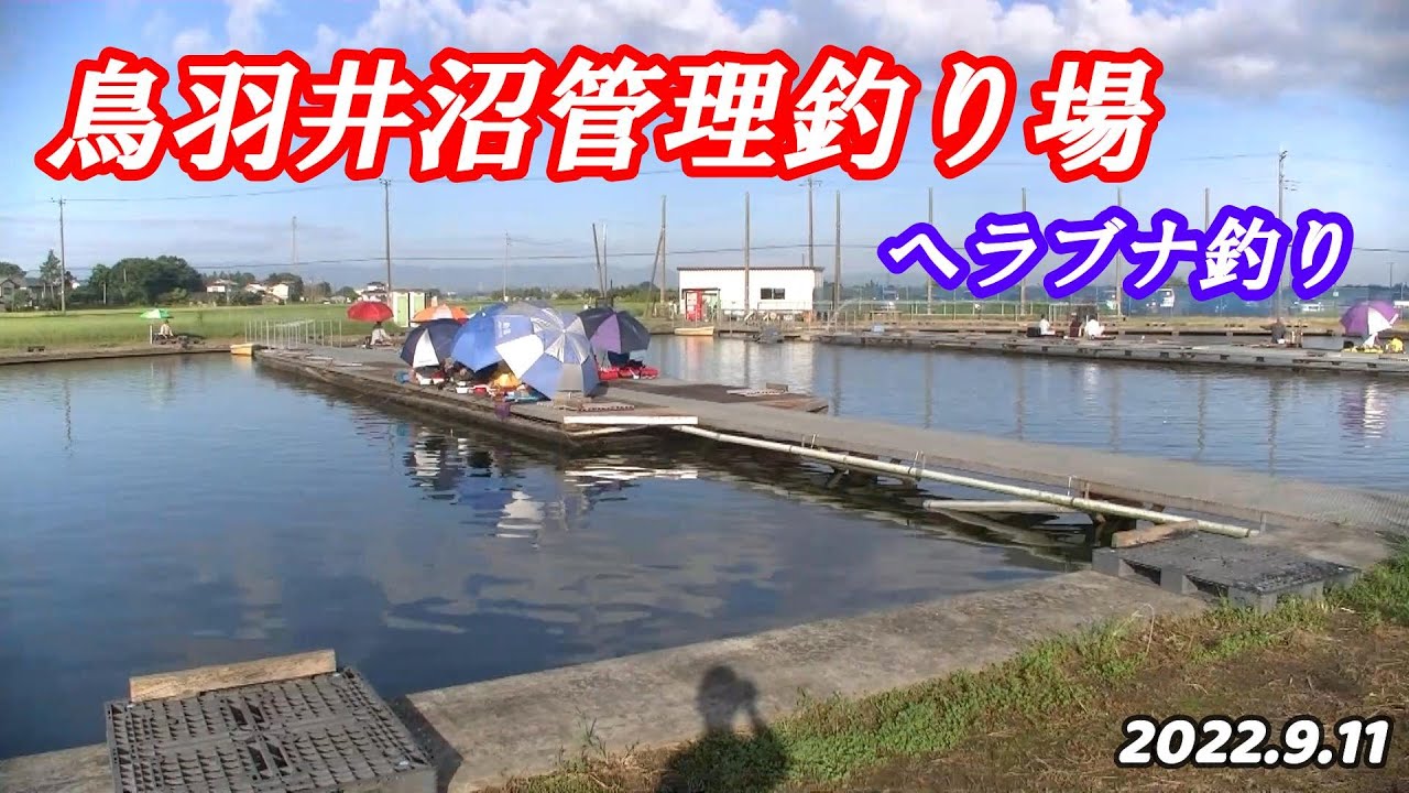 なかなかシビレル管理釣り場でした！！【鳥羽井沼管理釣り場】2022.9.11