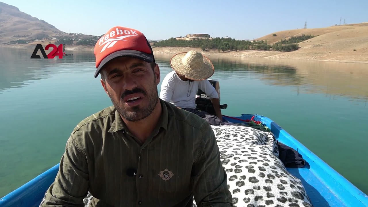Iraq: Dukan Lake is Home for Numerous Different Fish Species