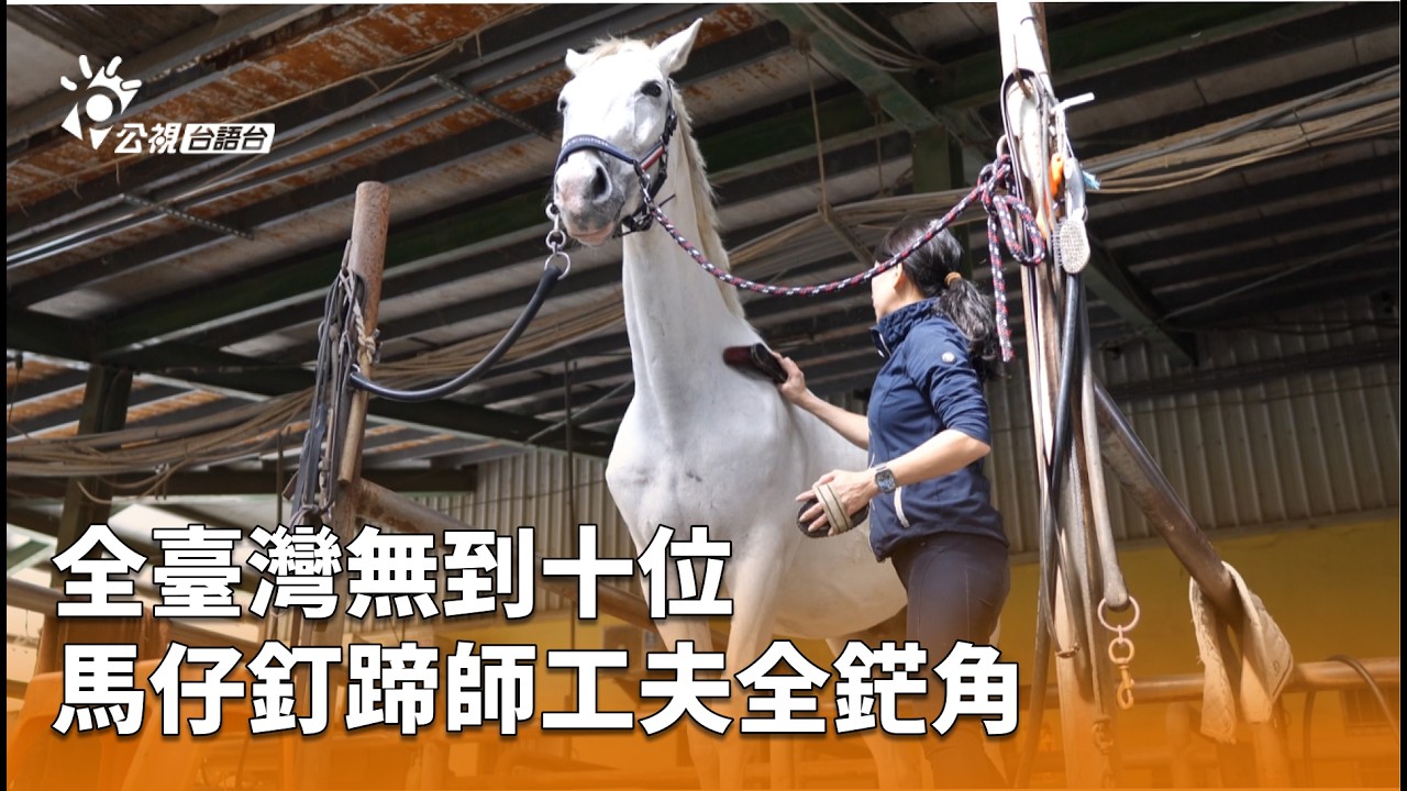 全臺灣無到十位 馬仔釘蹄師工夫全鋩角 | 公視台語台 | 20260222