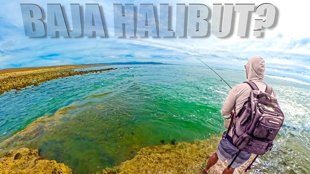 Operation Baja Surf HALIBUT - Fishing + Catch/Cook [Ep. 2 of 5]