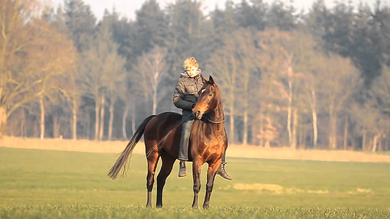 [VIDEO!] Andorra and me, to the stars..