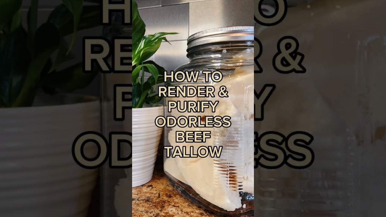 How to render odorless #beef #tallow for #diyskincare and #carnivore cooking🥩. #shorts #viral
