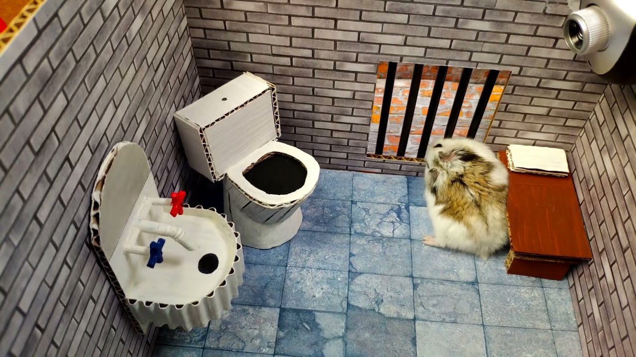 The best and  most suitable hamster toys for hamsters based on studies