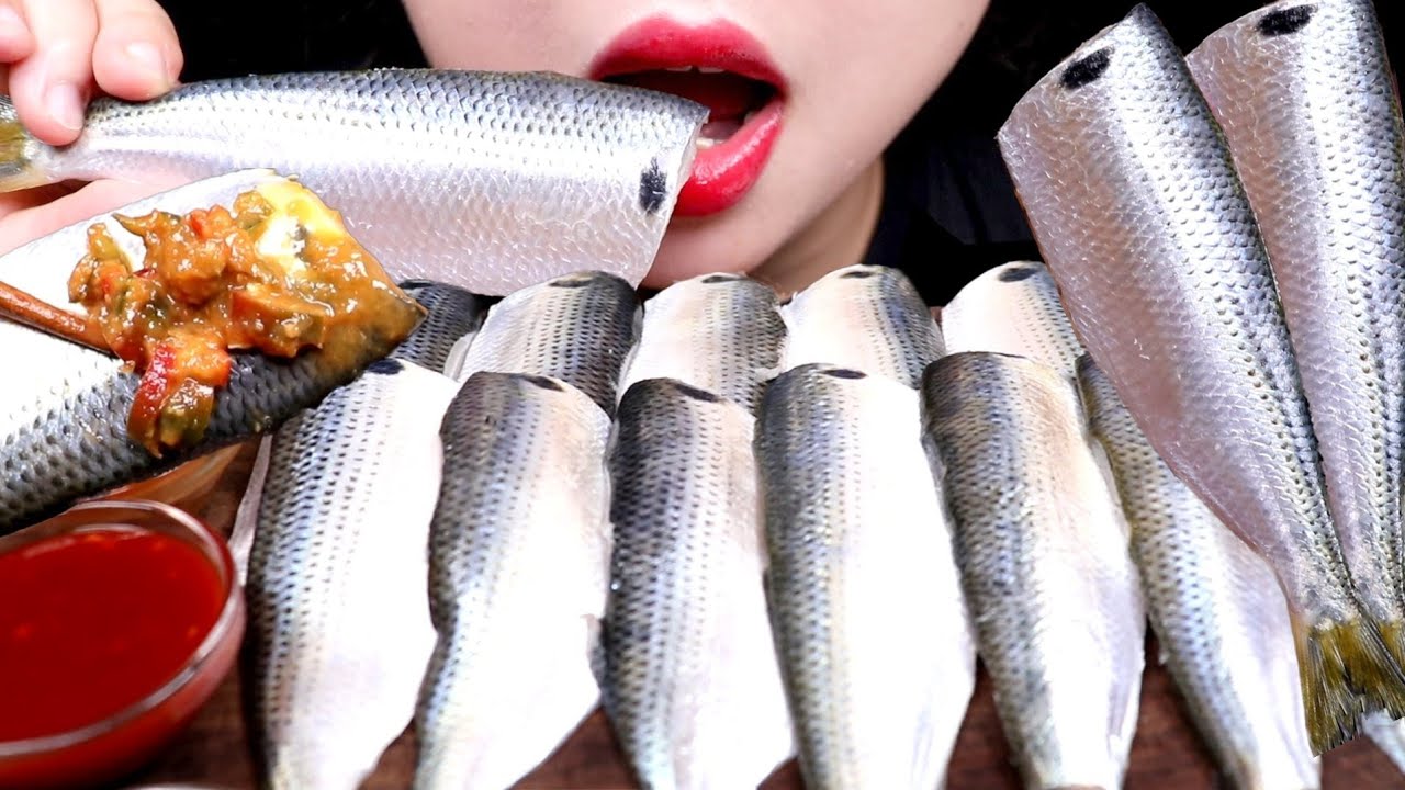 ASMR RAW GIZZARD 전어회 리얼사운드 먹방 EATING SOUND MUKBANG
