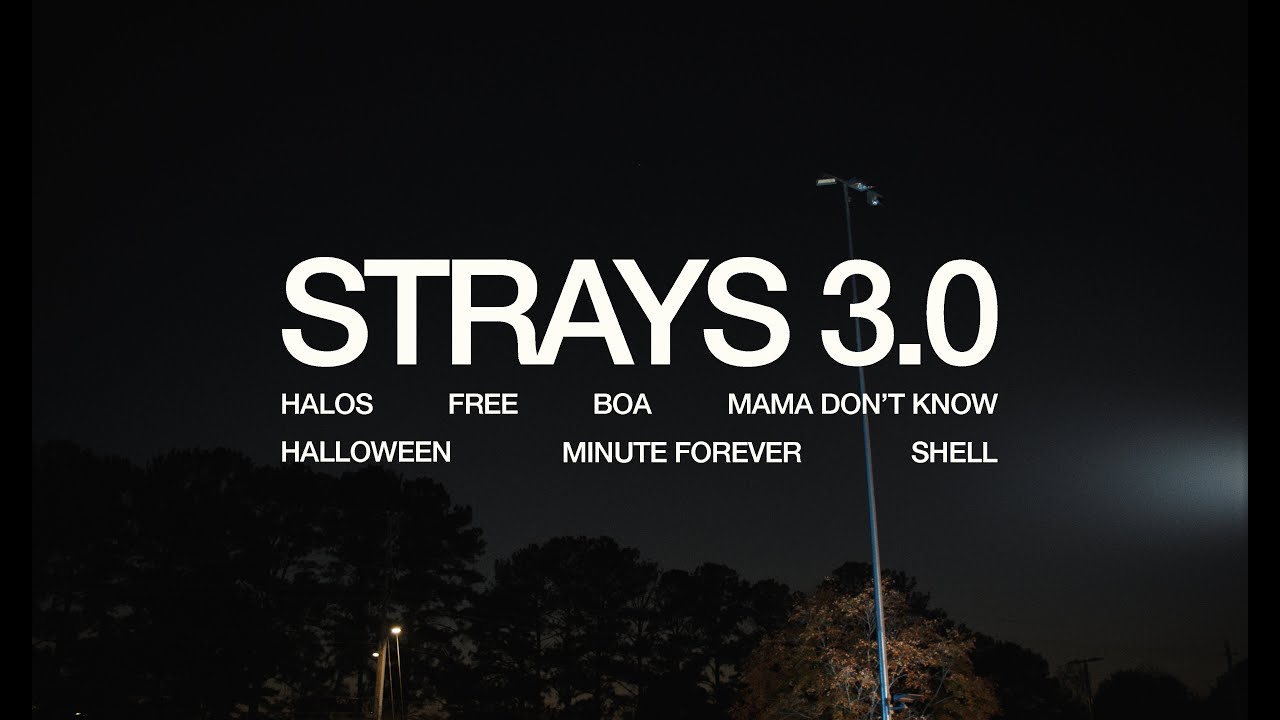 kenny mason / strays 03