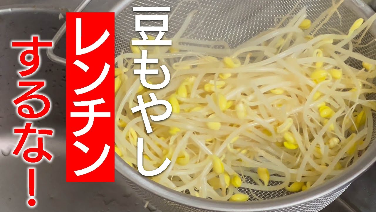 豆もやしの本当のおいしさとは。いつも食べている豆もやしのナムルがおいしくないのはレンチンがいけなかった!