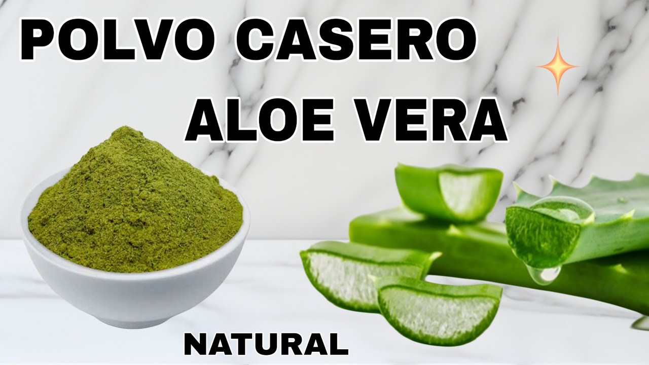 CÓMO HACER POLVO DE ÁLOE VERA CASERO | PARA QUÉ SE UTILIZA BENEFICIOS Y PROPIEDADES