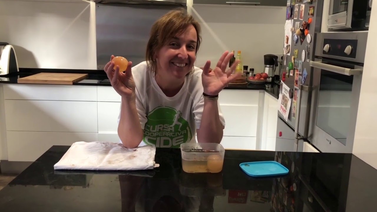 Col·legi CIDE:  experiments amb ous