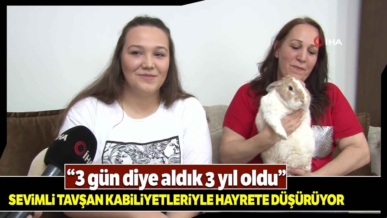 Ezber Bozan Sevimli Tavşan ‘Reis’