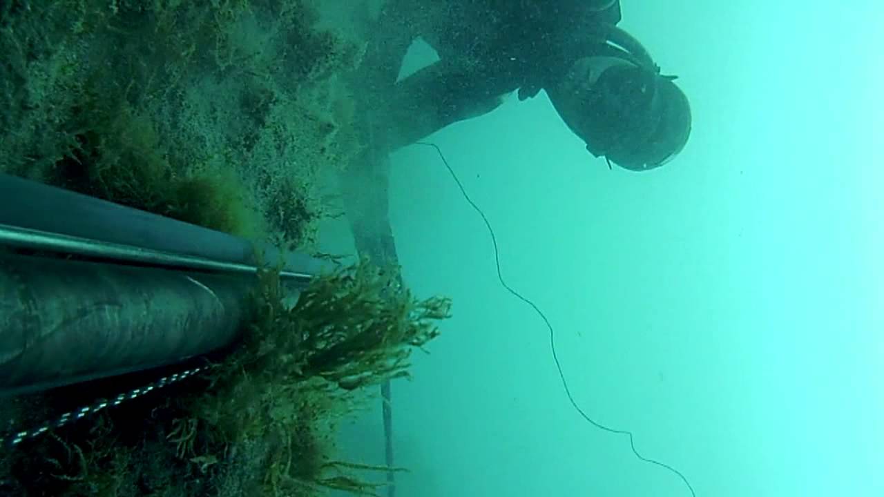 [PESCASUB] Pesca profonda di un tonno! IDIOTA NO LIMITS