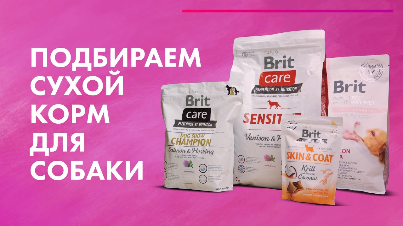 Как выбрать корм для собаки 🐶 Обзор сухого корма с ветеринарным консультантом 🐕