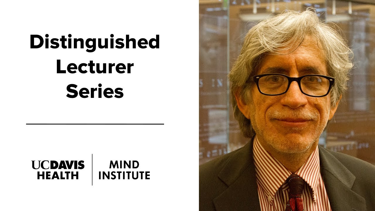 The Restless Brain: Spontaneous brain fluctuations and increased variability in ADHD (2012)