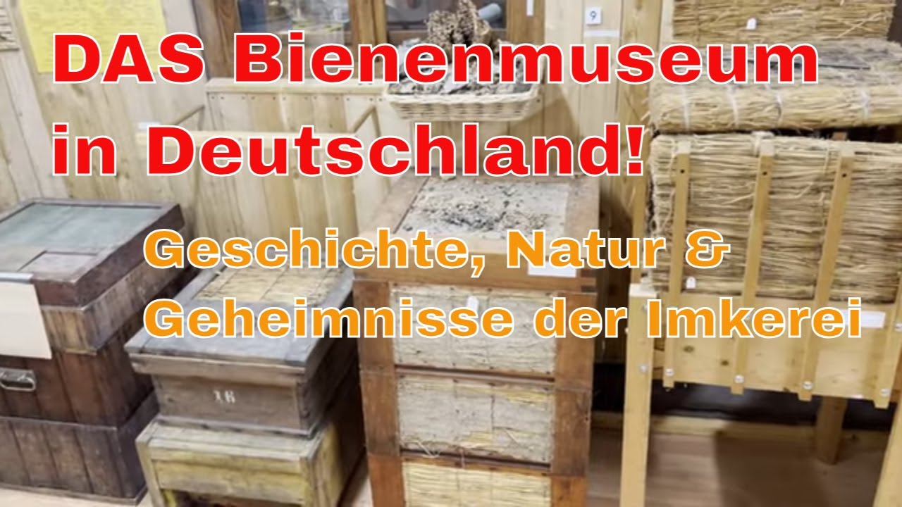 Das Lebendige Bienenmuseum Knüllwald 🐝 – Geschichte, Natur & Geheimnisse der Imkerei - Exkursion