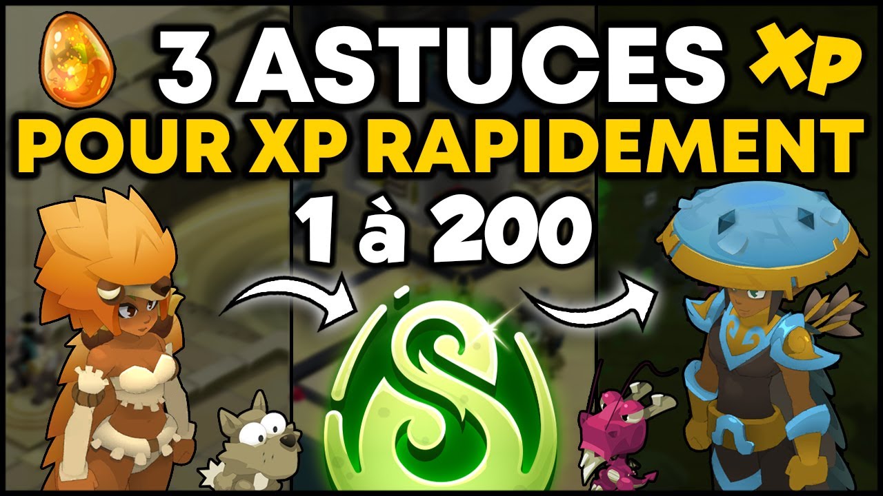 3 ASTUCES RENTABLES pour XP RAPIDEMENT sur DOFUS !