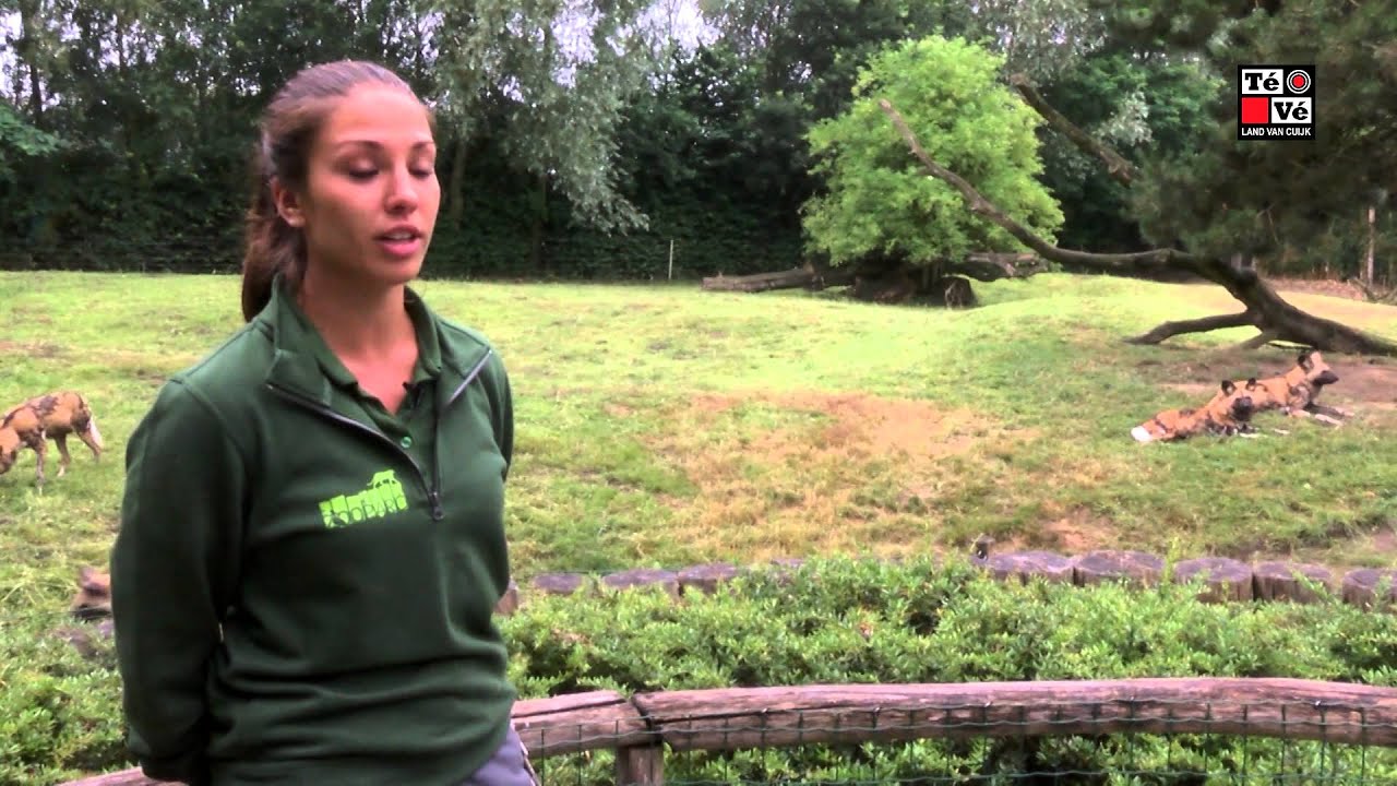 Oh, zit dat ZOO?! Aflevering 3