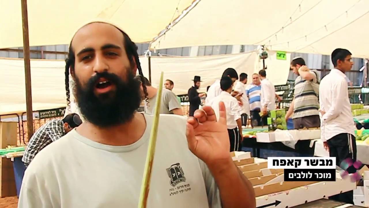 שוק ארבעת המינים - הרב אפרים פרידמן - מתוך סיפורו של יום HD