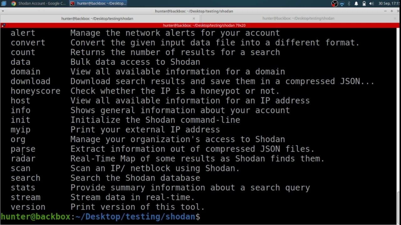 Shodan CLI - Setting API key