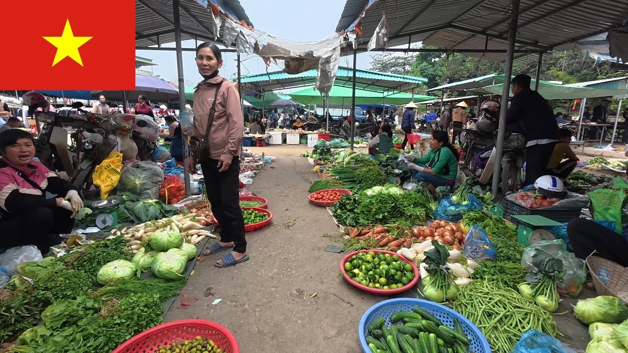 Explore the Market – A Dangerous Roadside Market in Vietnam