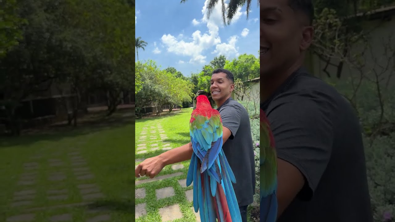 JOHN AVES está ao vivo!