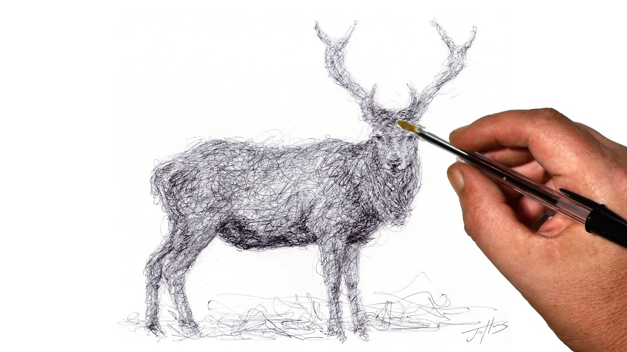 Reindeer Scribble Art Drawing