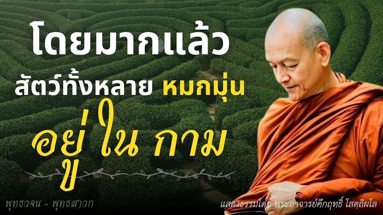 โดยมากแล้ว.. สัตว์ทั้งหลาย หมกมุ่น อยู่ใน 