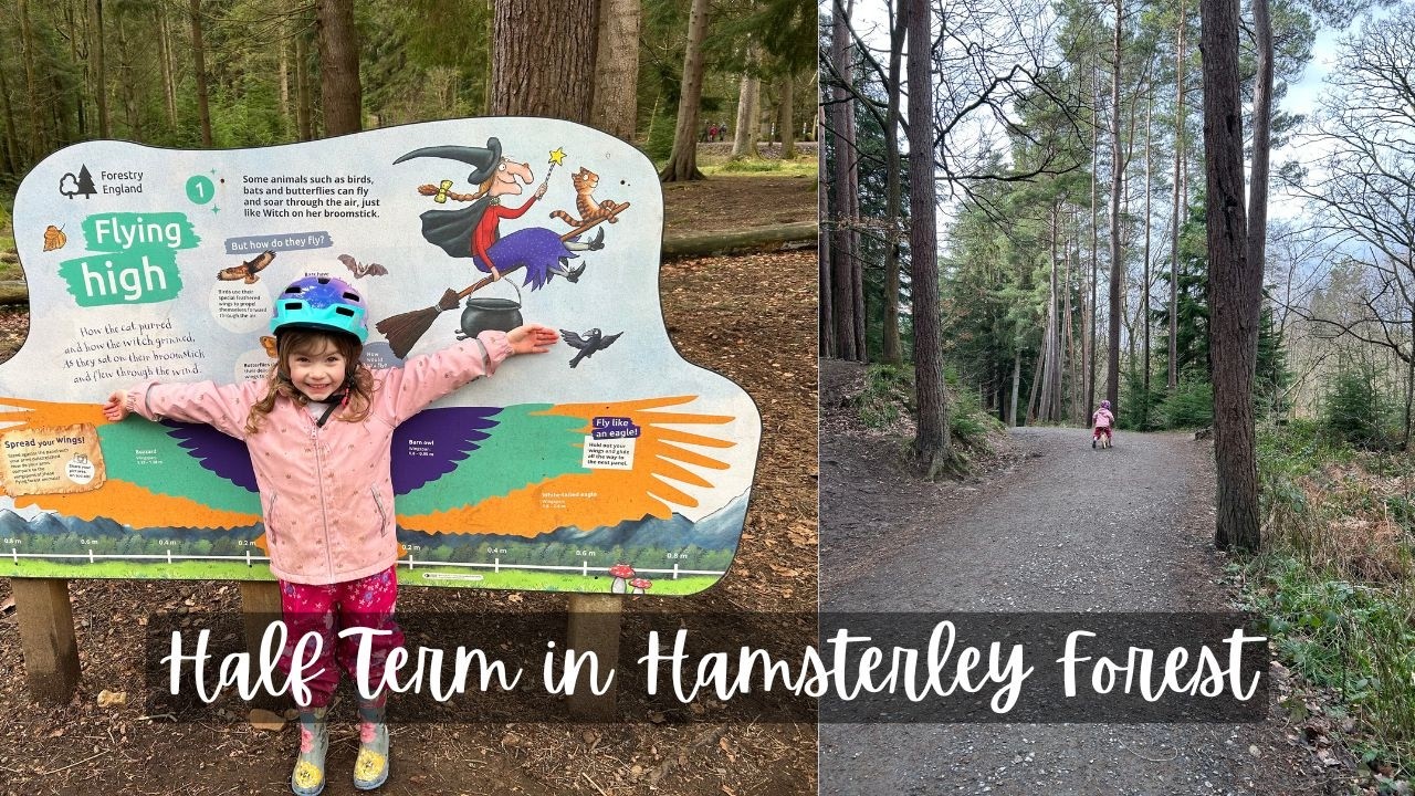 Half term in Hamsterley Forest I Life, Lately 🤍