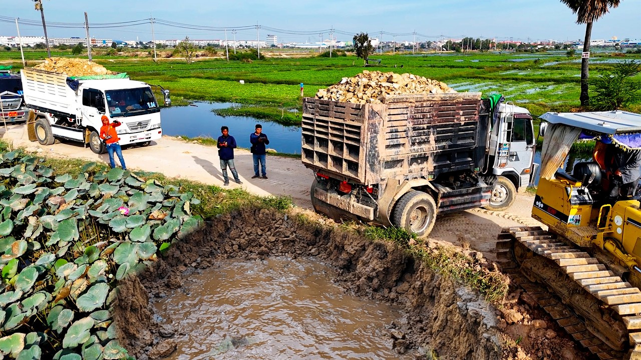 Excellent skill operator pushes soil with dump trucks filling up land perfectly 