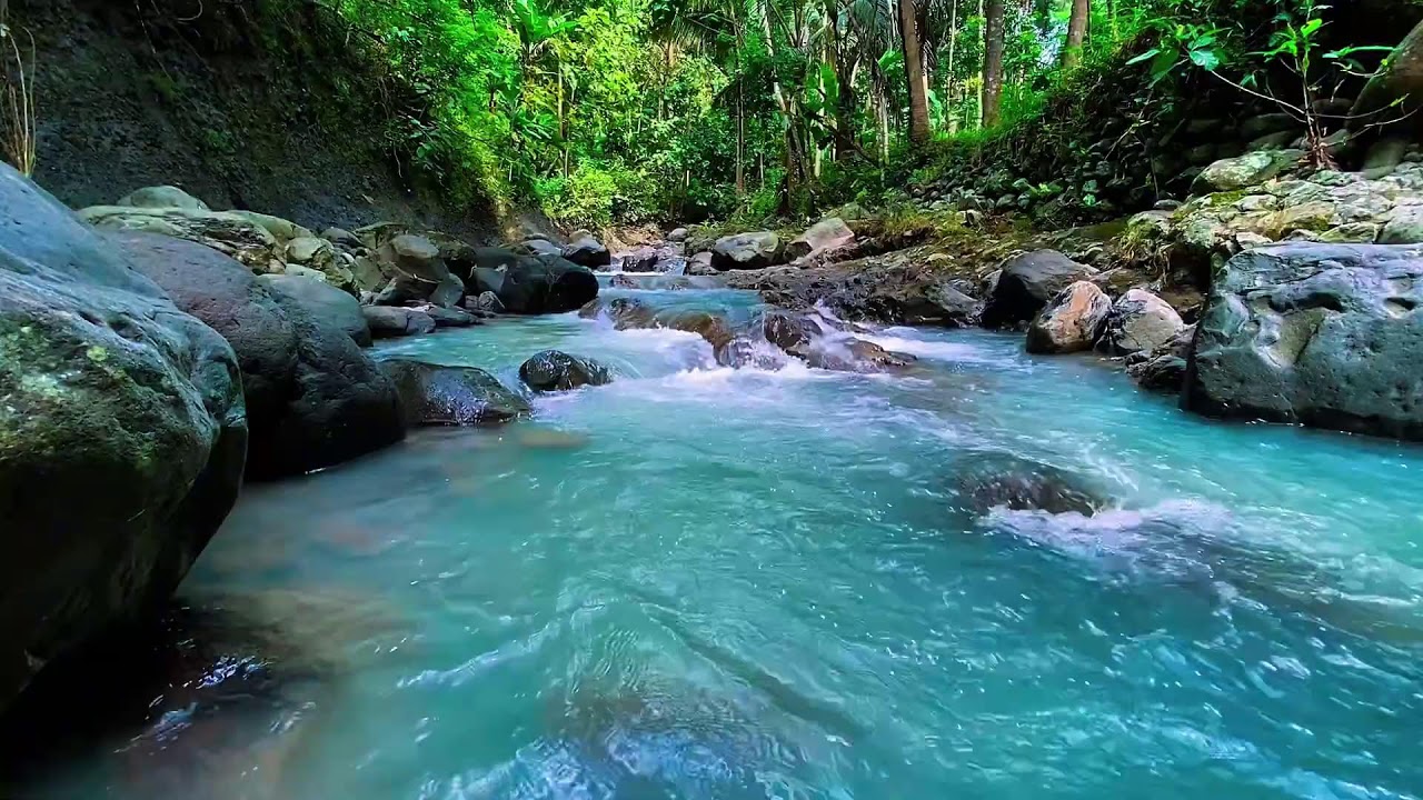 Forest River Night Flow, Mountain Stream Sounds, Sleep