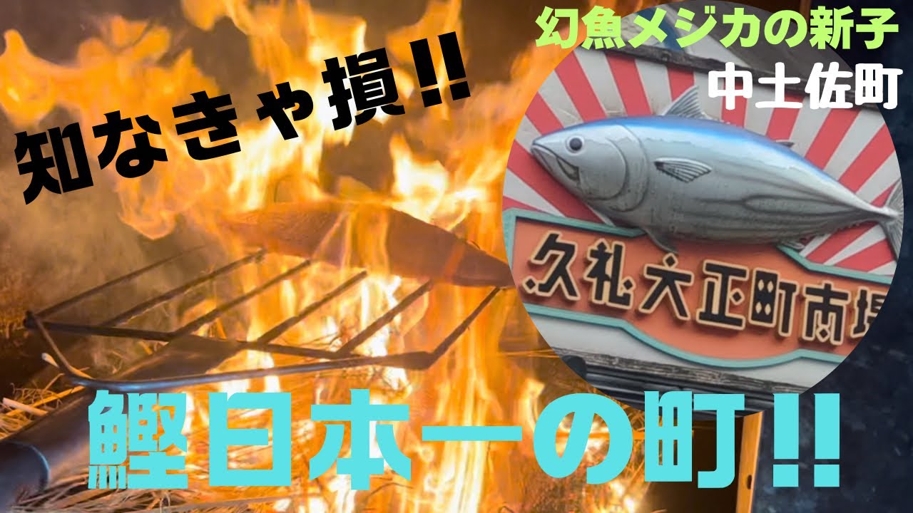 【これが日本一の鰹にメジカの新子だ】#高知 #鰹のたたき