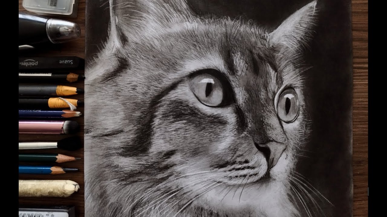 Cómo DIBUJAR un GATO en Carboncillo | Charcoal | TIME LAPSE