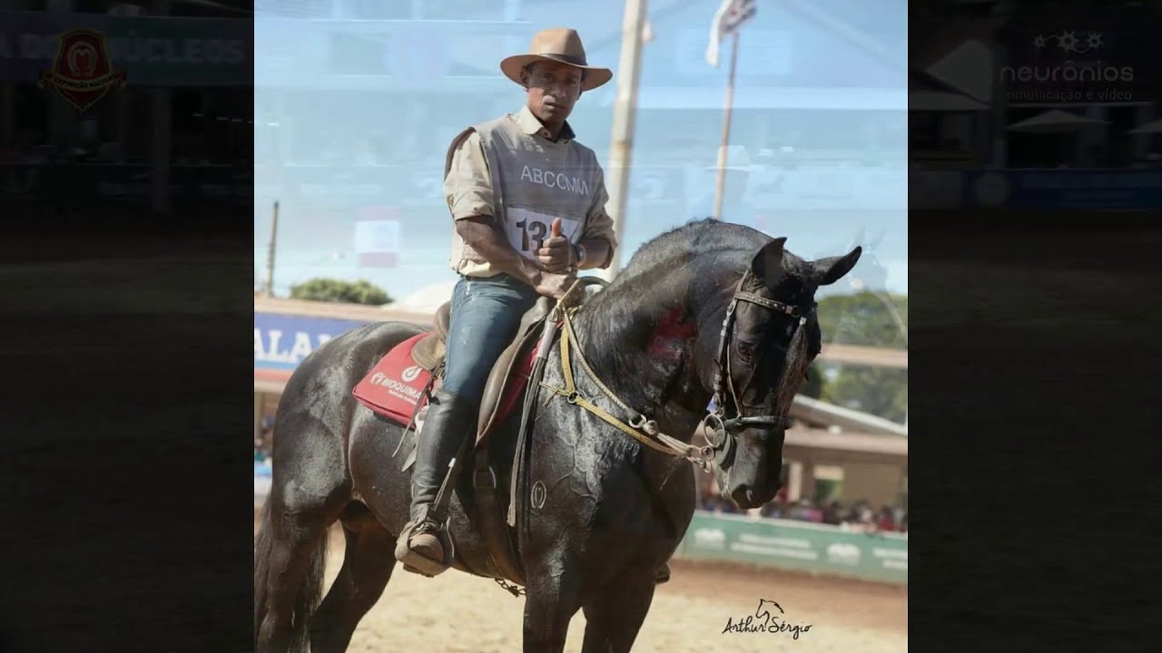 SEU CHICO TANDY,O 1 &ordm; CAVALO DE PICADA DO CANAL
