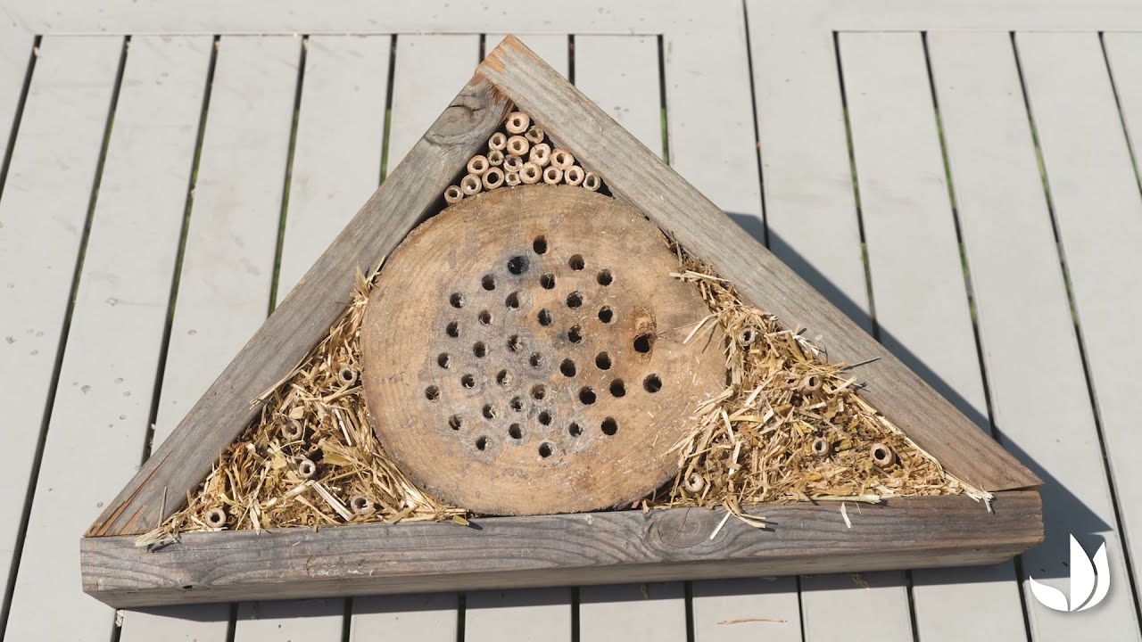 DIY : un abri naturel pour les abeilles sauvages - Truffaut