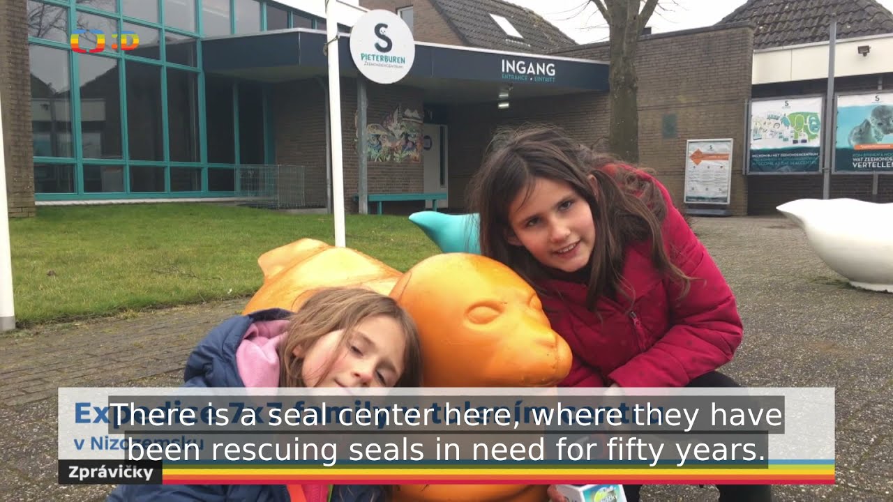 7x7 family, Rescue of Seals in the Netherlands