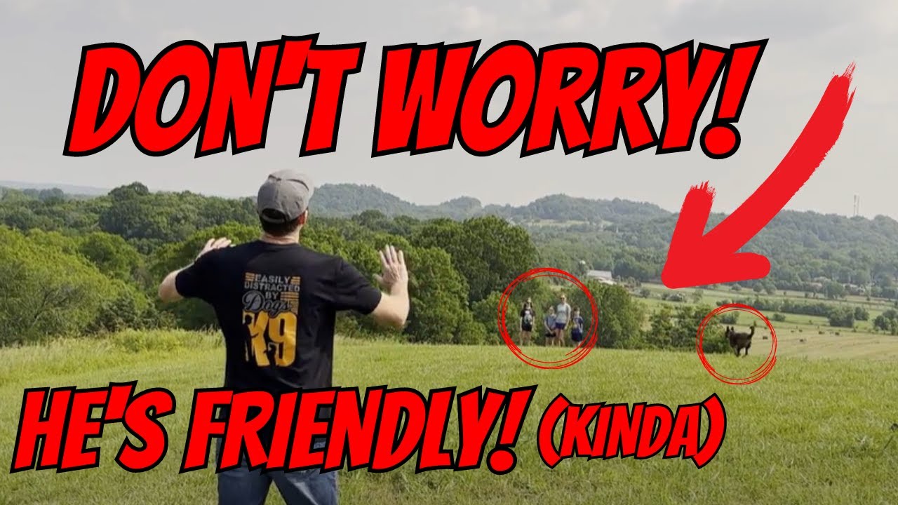 Don't Be A Jerk When Your Dog is Off Leash!