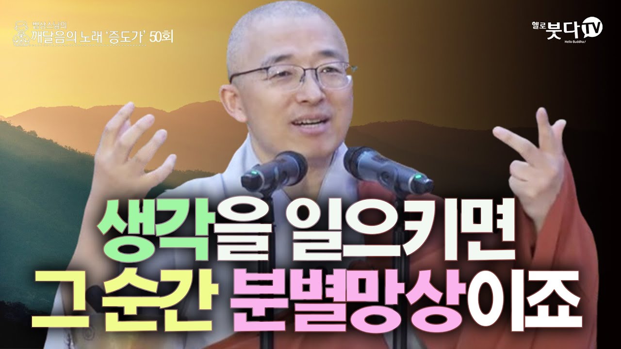 생각을 일으키면 그 순간 분별 망상이죠 | 법상스님의 증도가 50회(25-2) | 분별 세상 집착 고통 지혜 행복 존재 인연