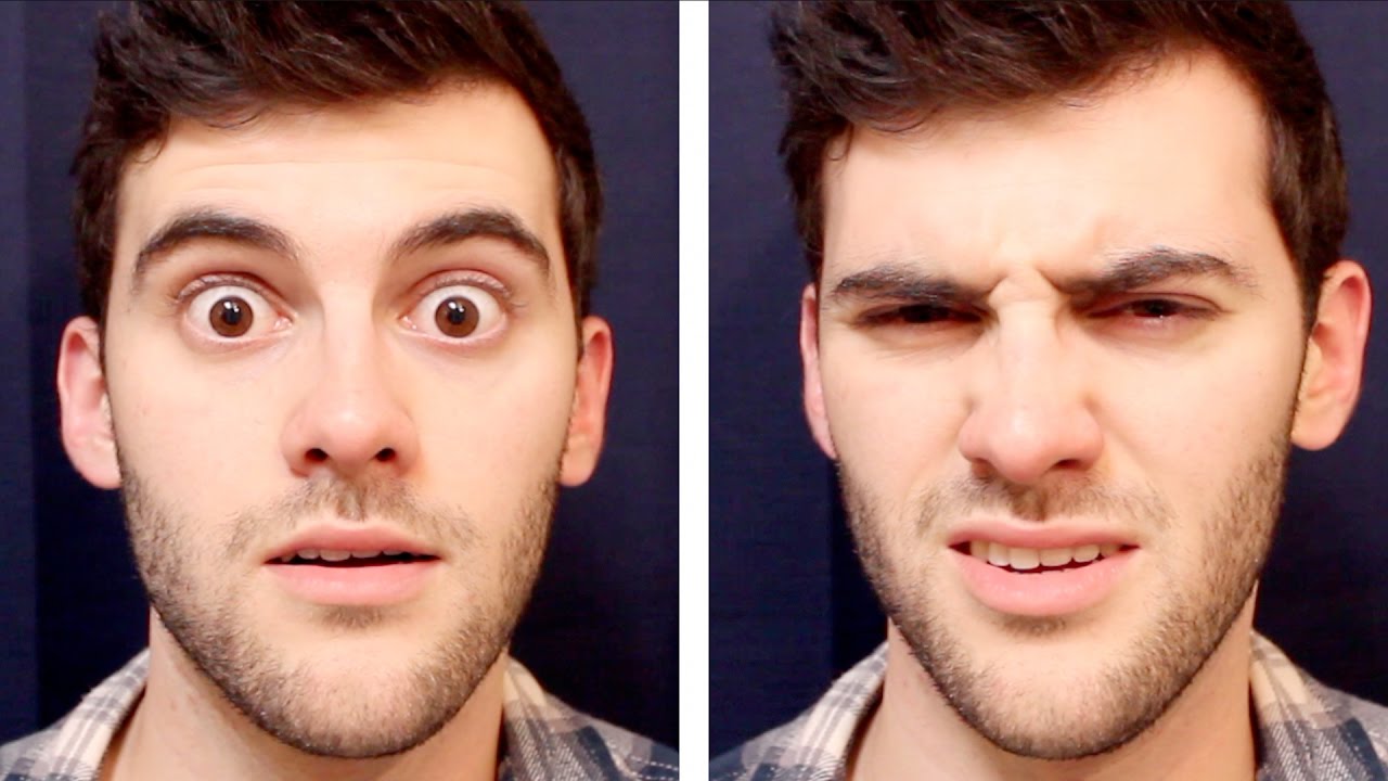 The Evolution of Facial Expressions