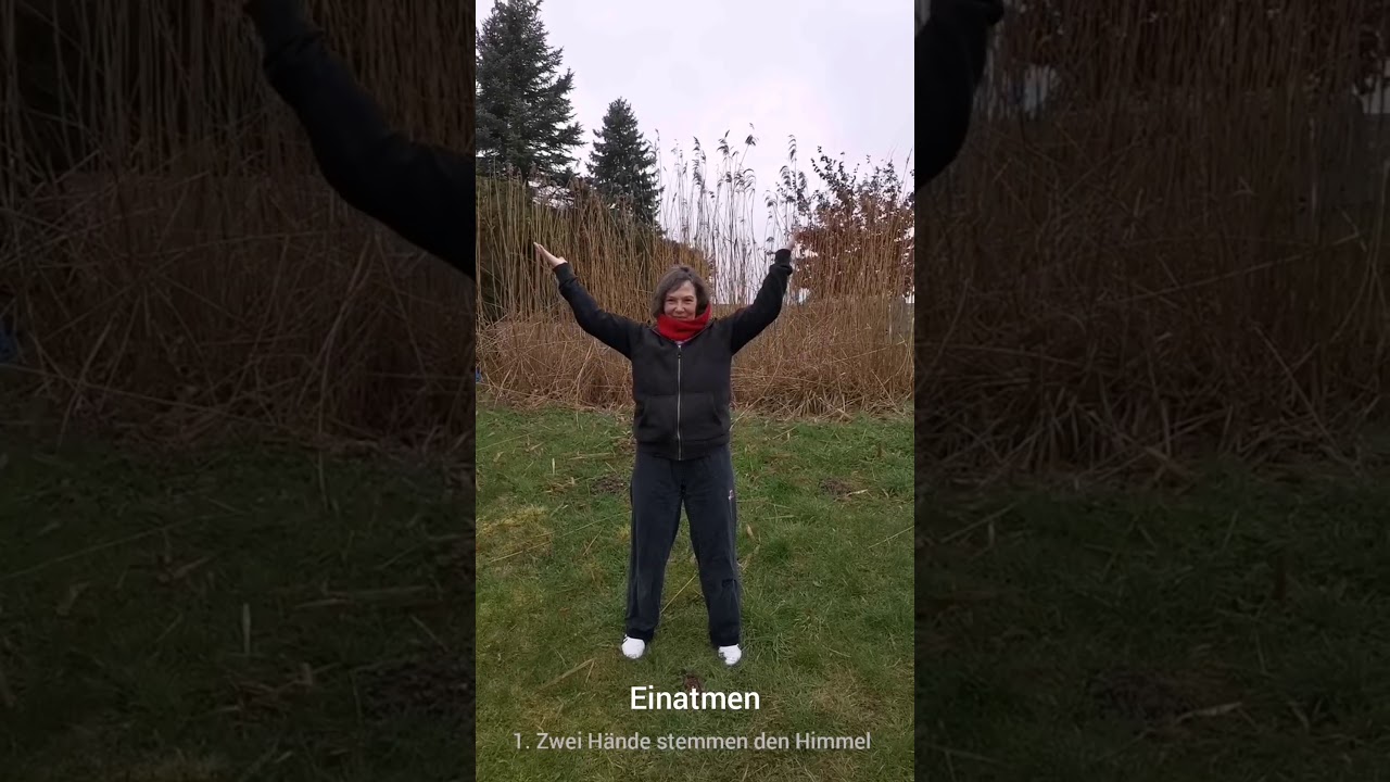 Qigong, Kunstübungen der Seidenweber, (zwei Hände stemmen den Himmel)