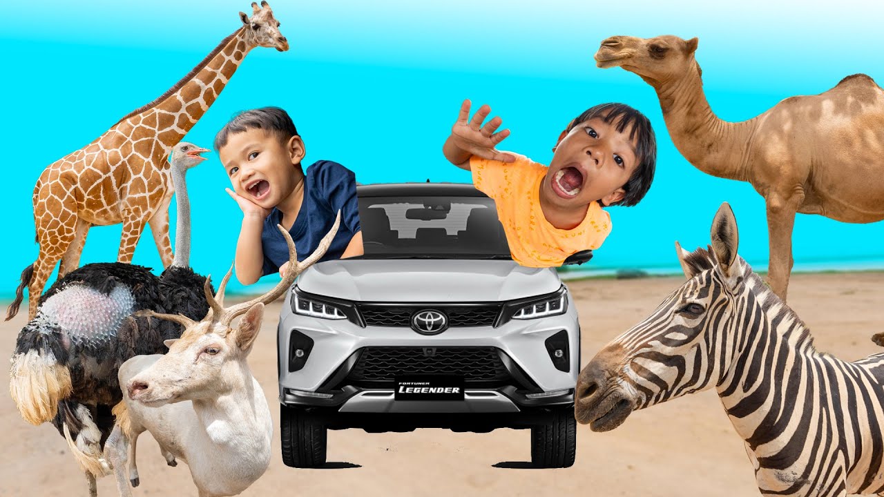 ม้าลายบุกเข้ารถ ยีราฟ อูฐ ซาฟารีปาร์ค กาญจนบุรี | พี่ปลื้ม