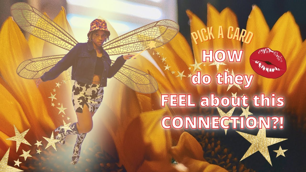 ✅💞pick a card💞✅ how do they feel about this connection⁉️ romantic / platonic