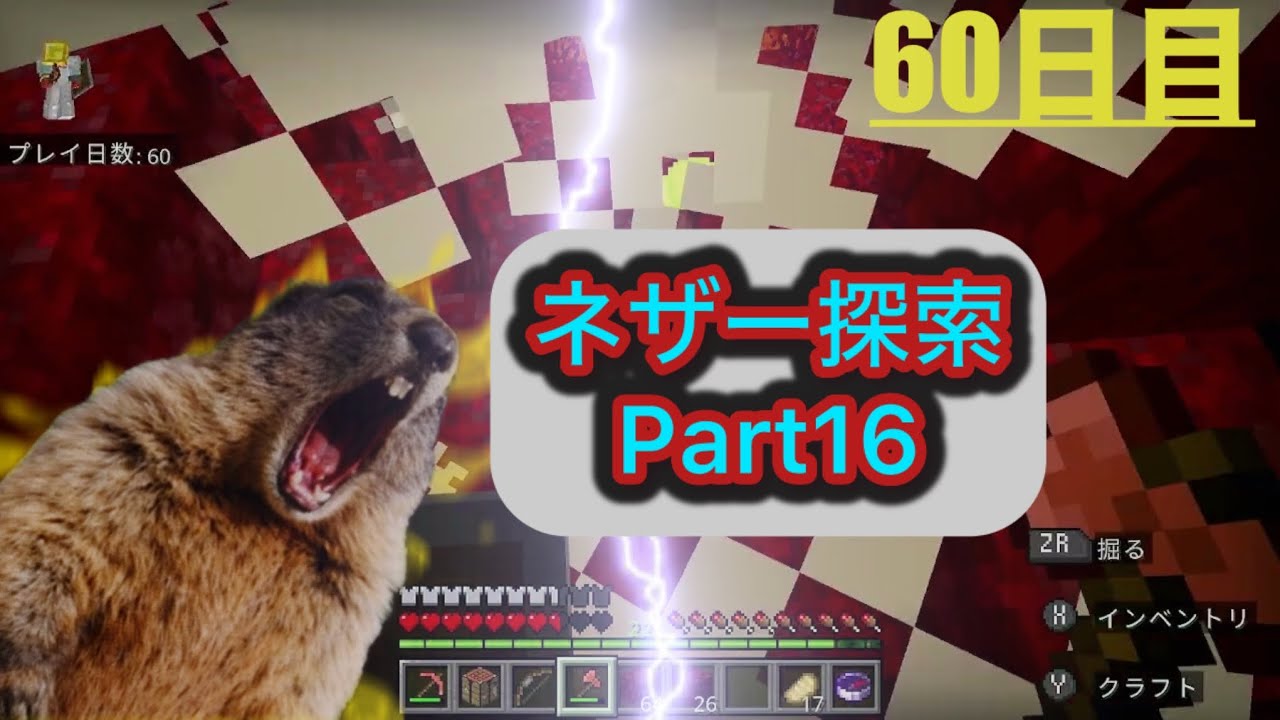 【マイクラ】家族で1人1日ずつ日替わりで進めたら何日でエンドラ討伐できる？｜60日目