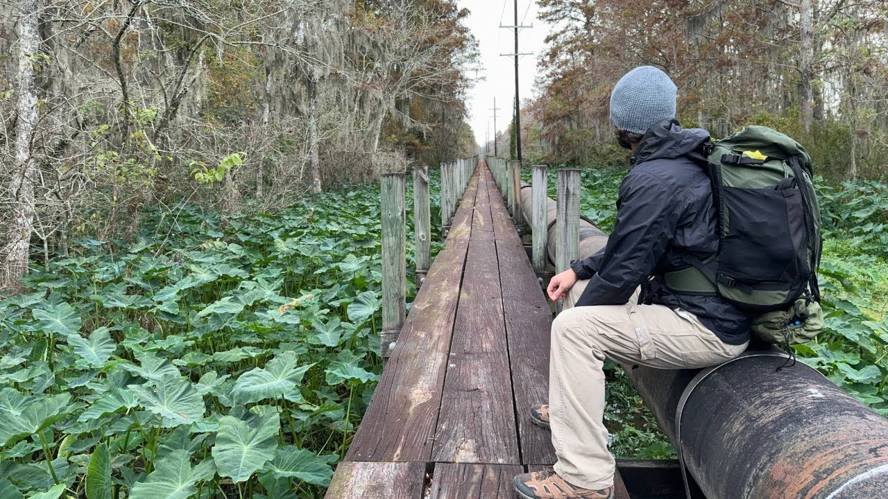 Stealth Backpack Camping in a Louisiana Swamp