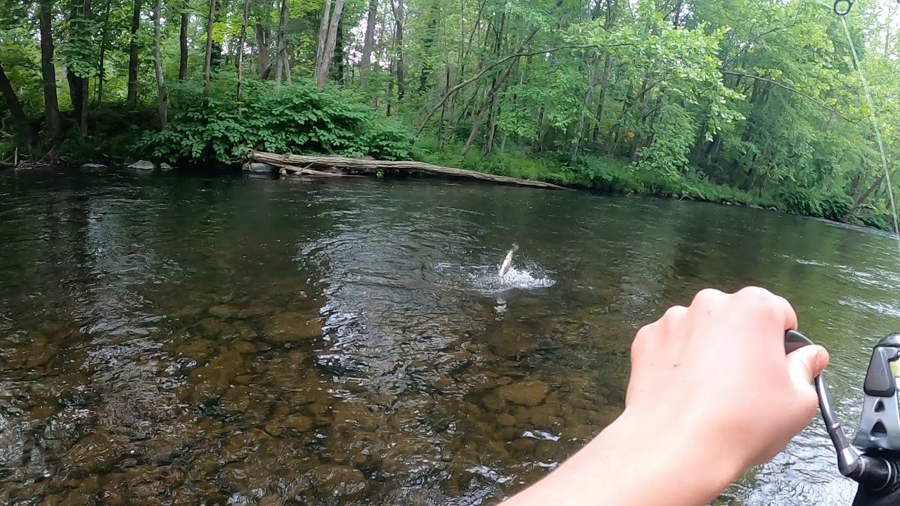 MASHALLAH Alabalikli Ayili Derede Balik Avi Muhteşem!!