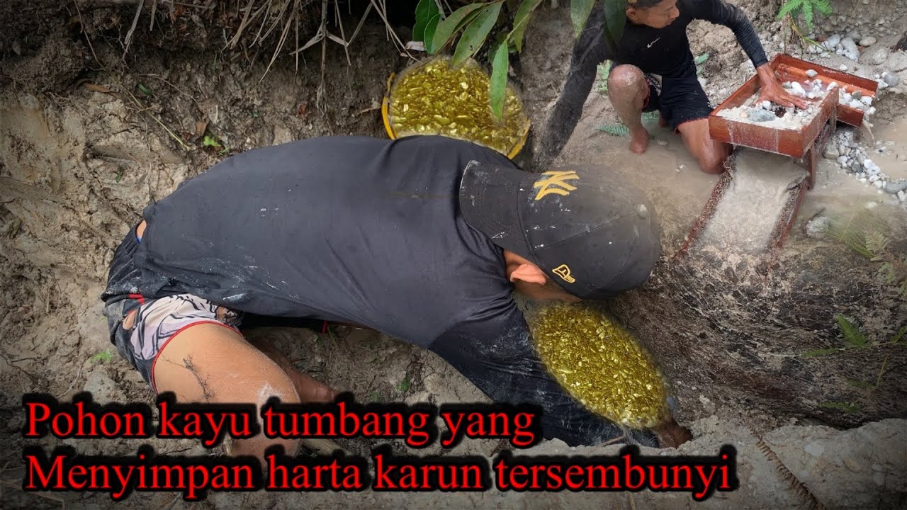 VIRAL,‼️TAK DISANGKA.POHON KAYU TUMBANG YG TERKUBUR RATUSAN TAHUN MENYIMPAN HARTA KARUN TERSEMBUNYI