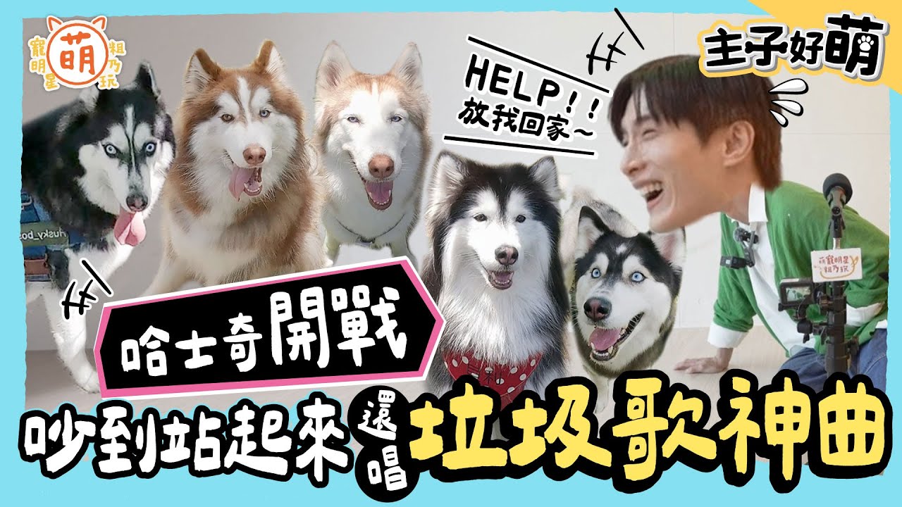 狗界選秀大賽！阿本 攜手哈士奇飆高音 重金屬歌王現身笑翻全場！？【 主子好萌 】 萌寵明星粗乃玩 @haveapetday​
