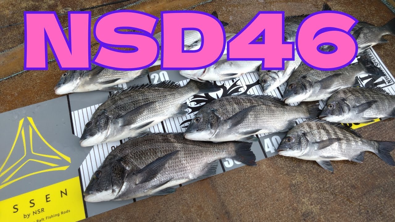 【かかり釣り】後編　NSDで好釣果☆ツ抜けしたよ！アタリ映像満載♪