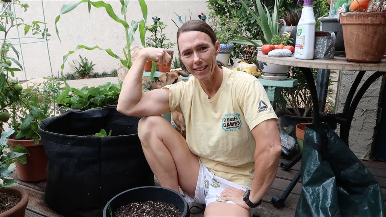 Garden Update 1